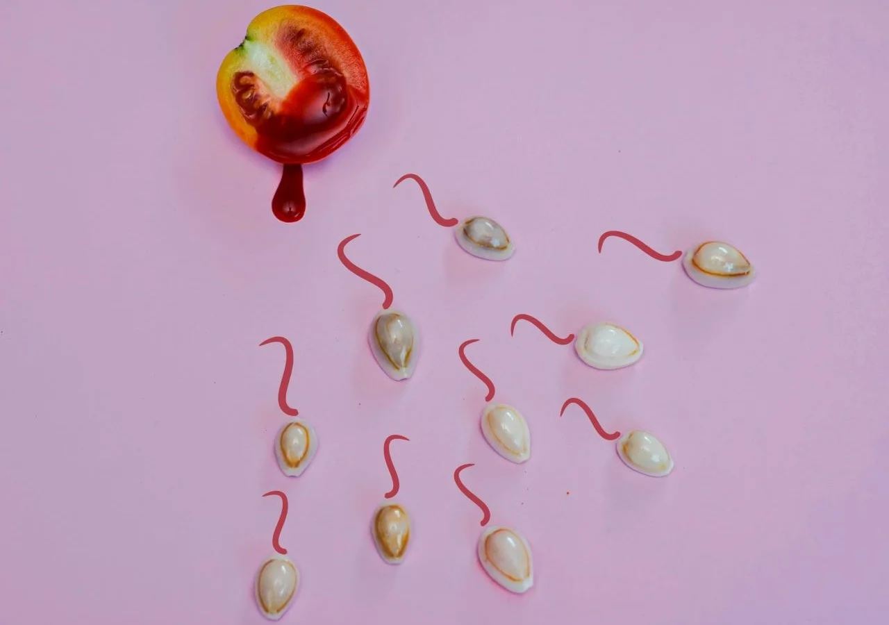 Overview of sperm survival time in different environments such as the vagina, mouth, air, skin, water, and a condom