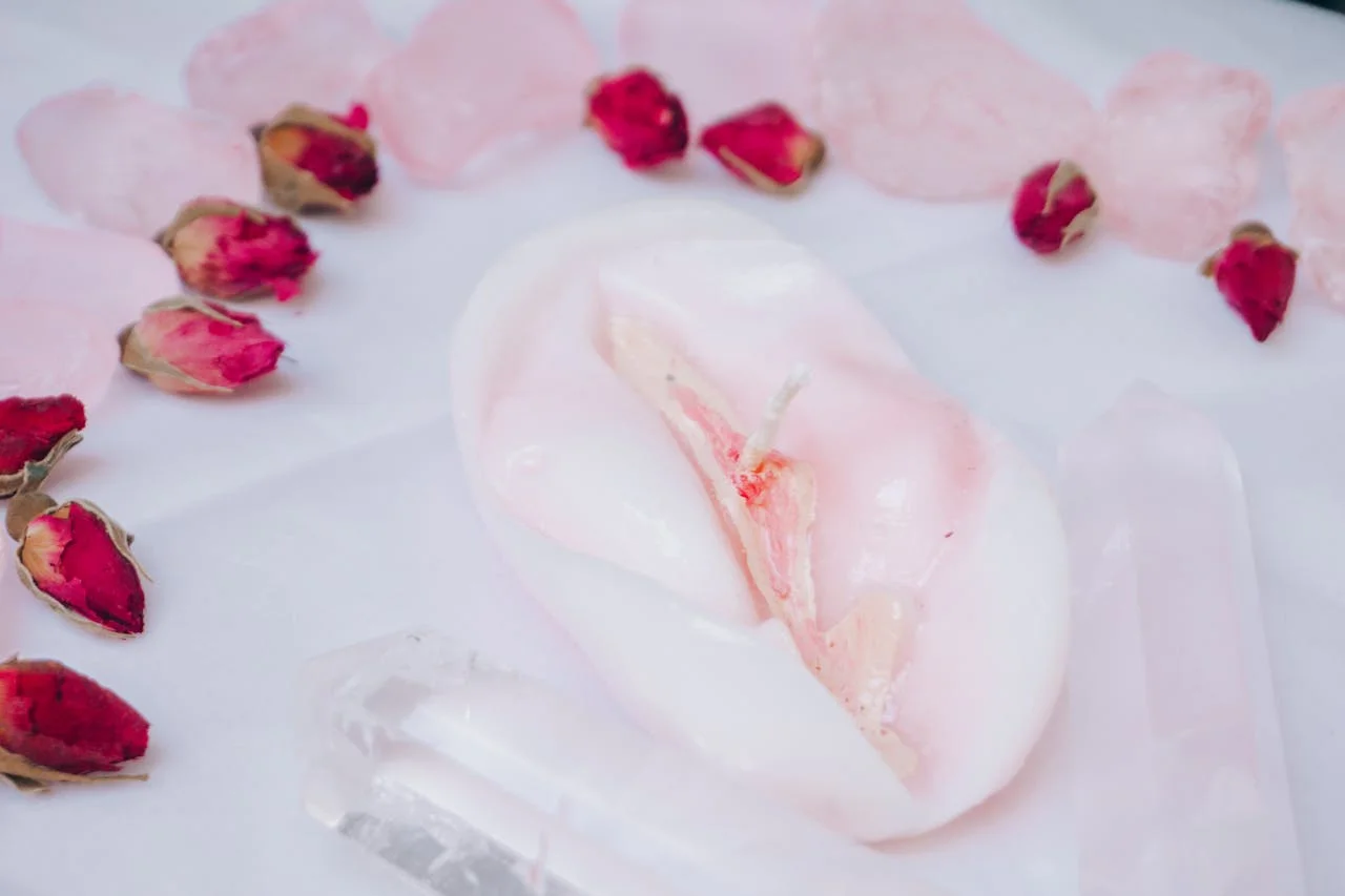 Illustration zum Unterschied zwischen Vulva und Vagina mit äußerem und innerem Genitalbereich