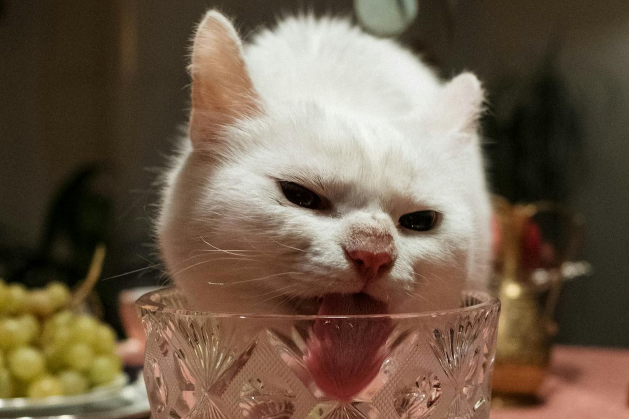 Symbolbild: Attraktive Frau leckt sich die Lippen und guckt gierig