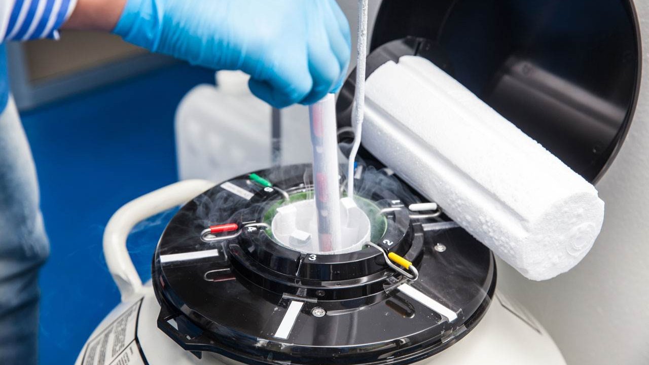 Embryologin untersucht eine Eizelle unter dem Mikroskop