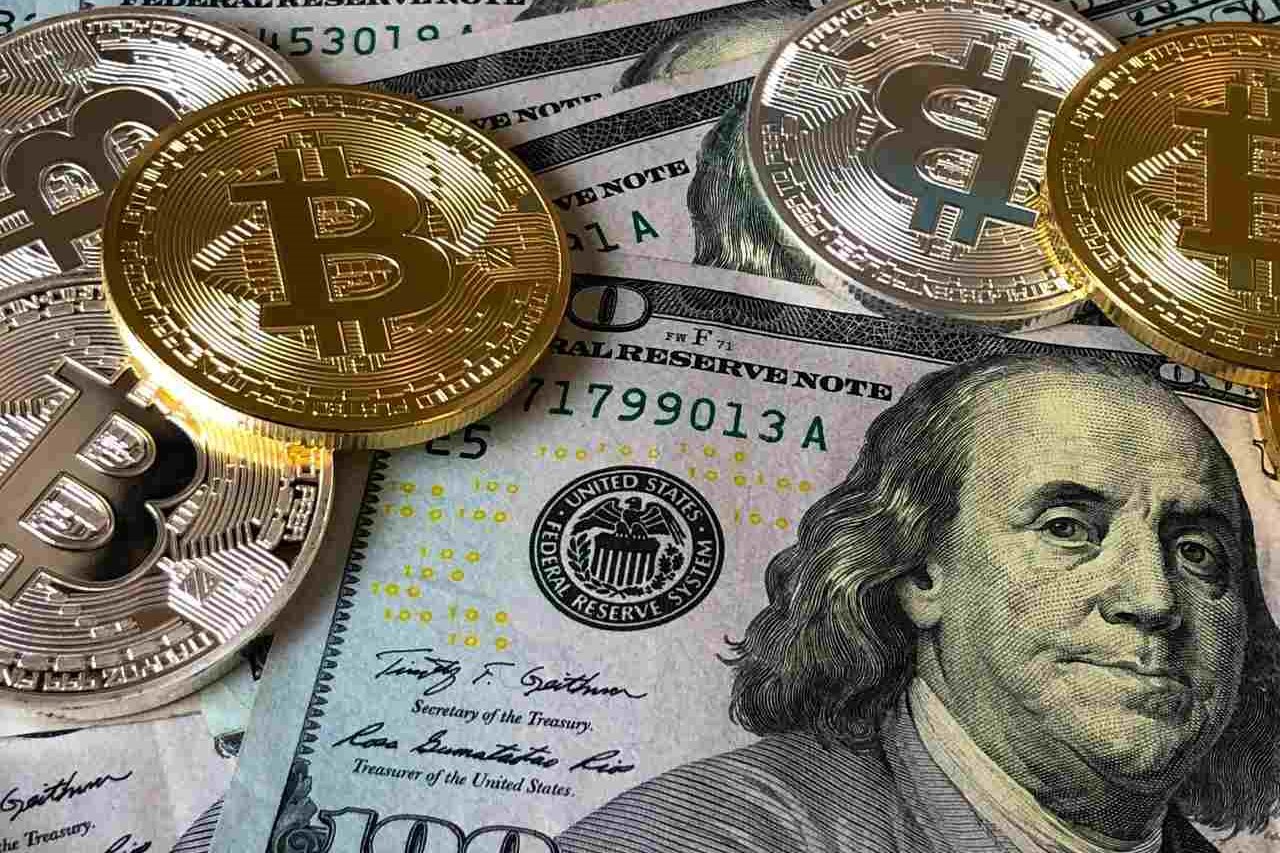 Illustration: Preis- und Leistungsvergleich deutscher Samenbanken