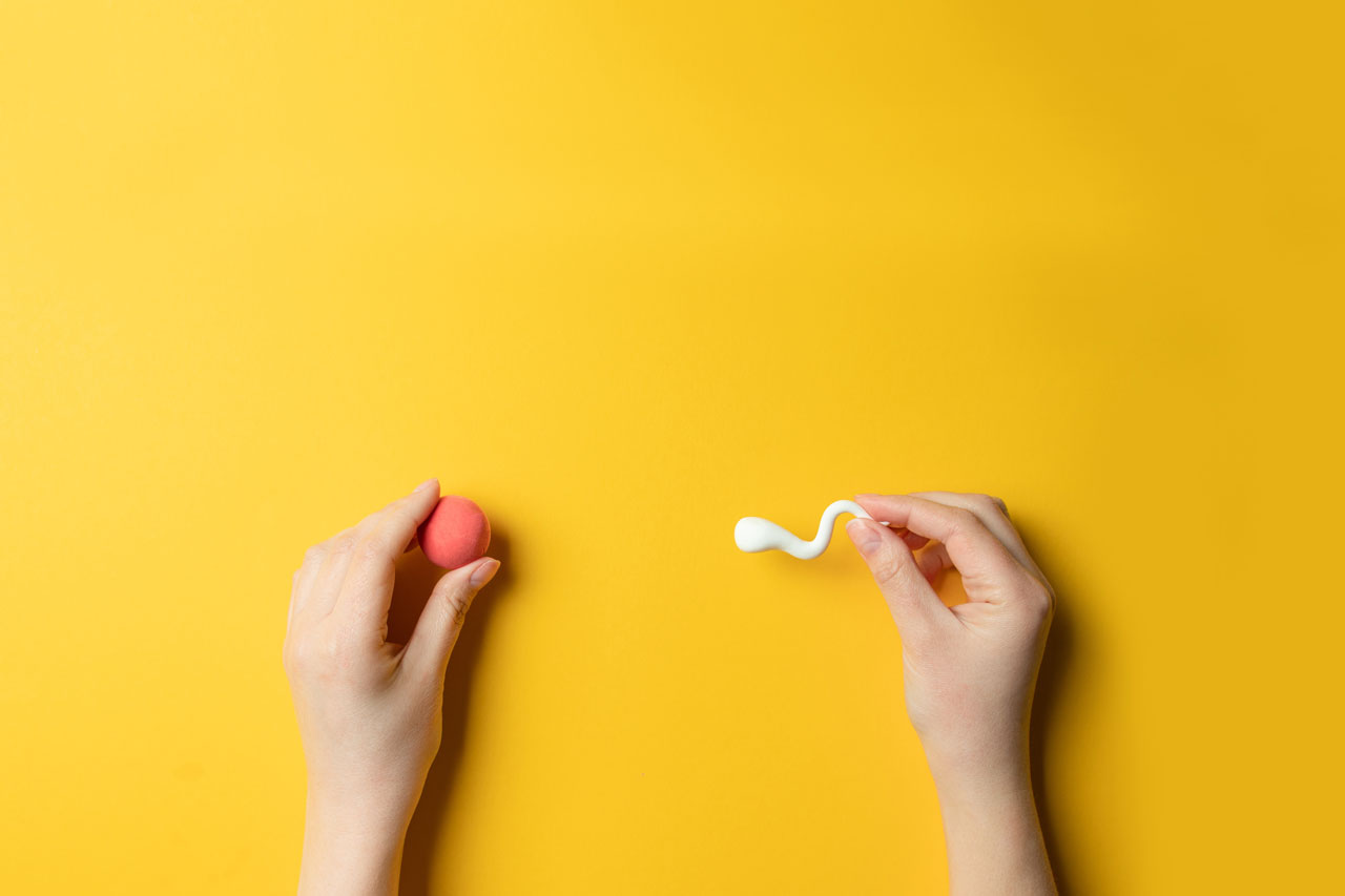 Illustration: Home insemination – syringe with semen for ICI
