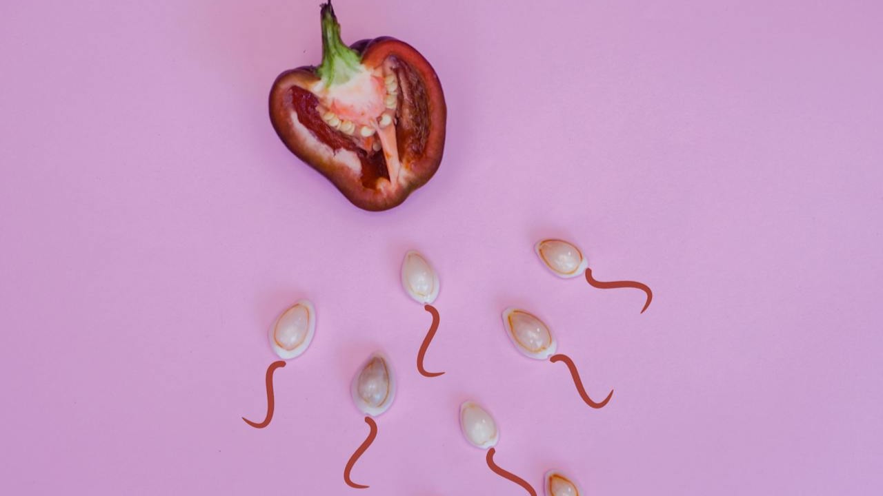 Cuaderno, calendario y documentos médicos sobre una mesa como símbolo de información sobre esperma y fertilidad