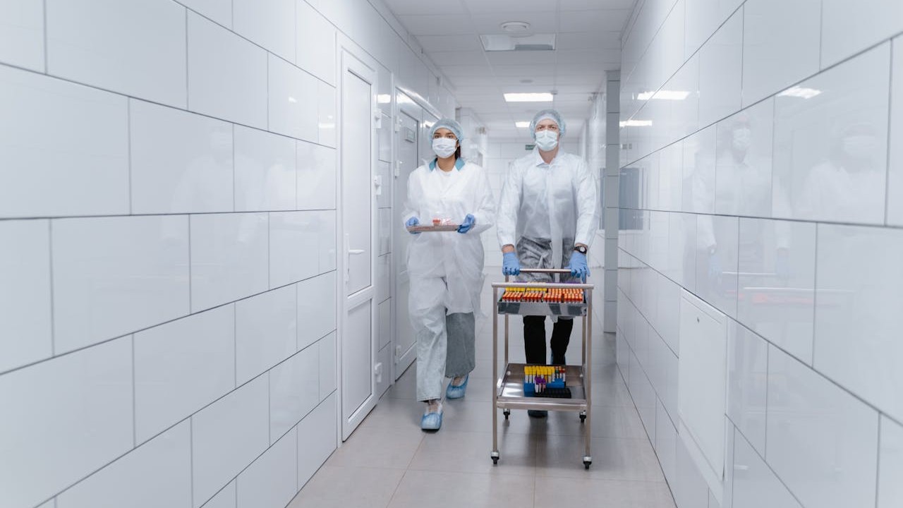 Une médecin explique, à l'aide d'un schéma simple, le rôle du système immunitaire en début de grossesse