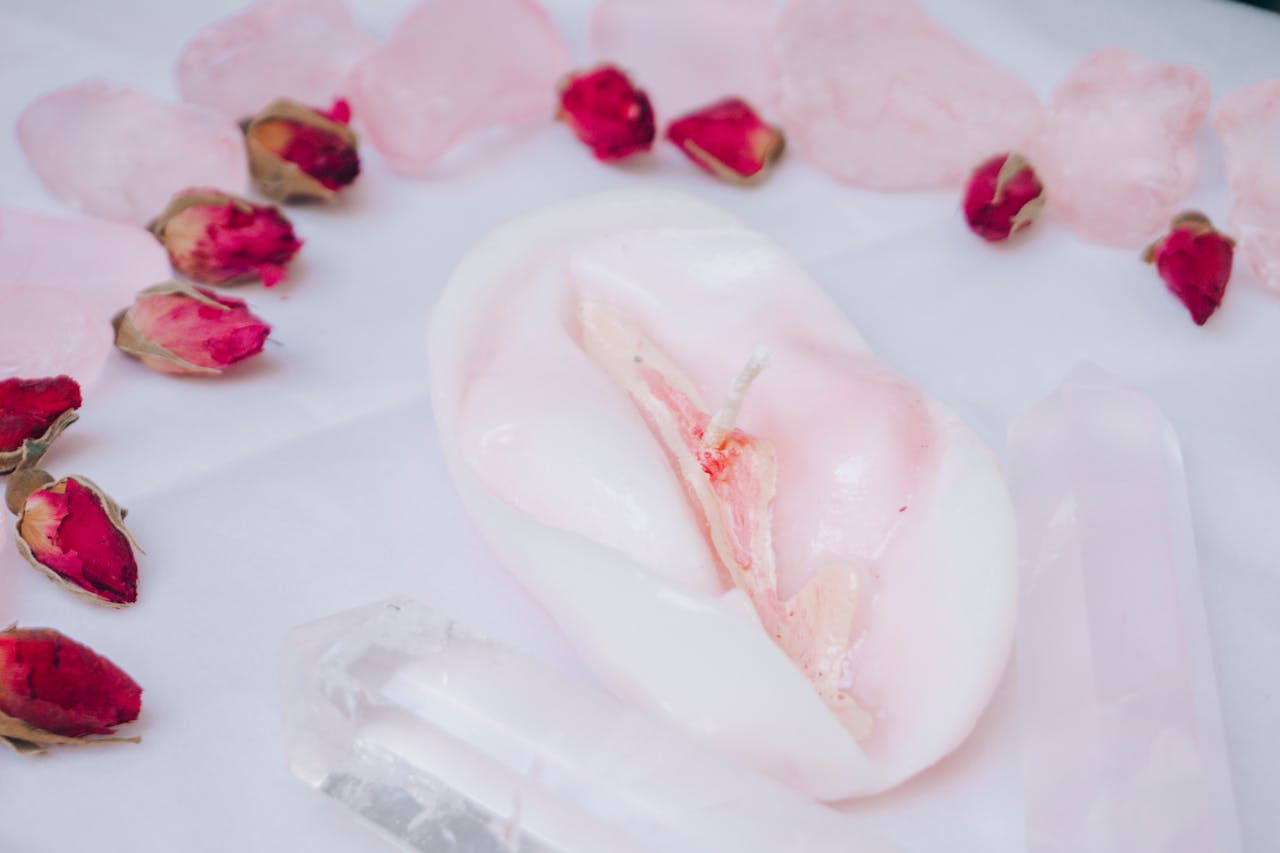 Ilustrasi perbedaan vulva dan vagina dengan area genital luar dan dalam