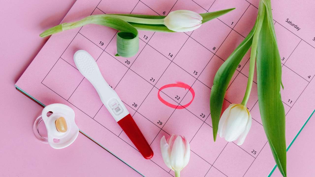 Ilustrasi ovum sejurus sebelum ovulasi
