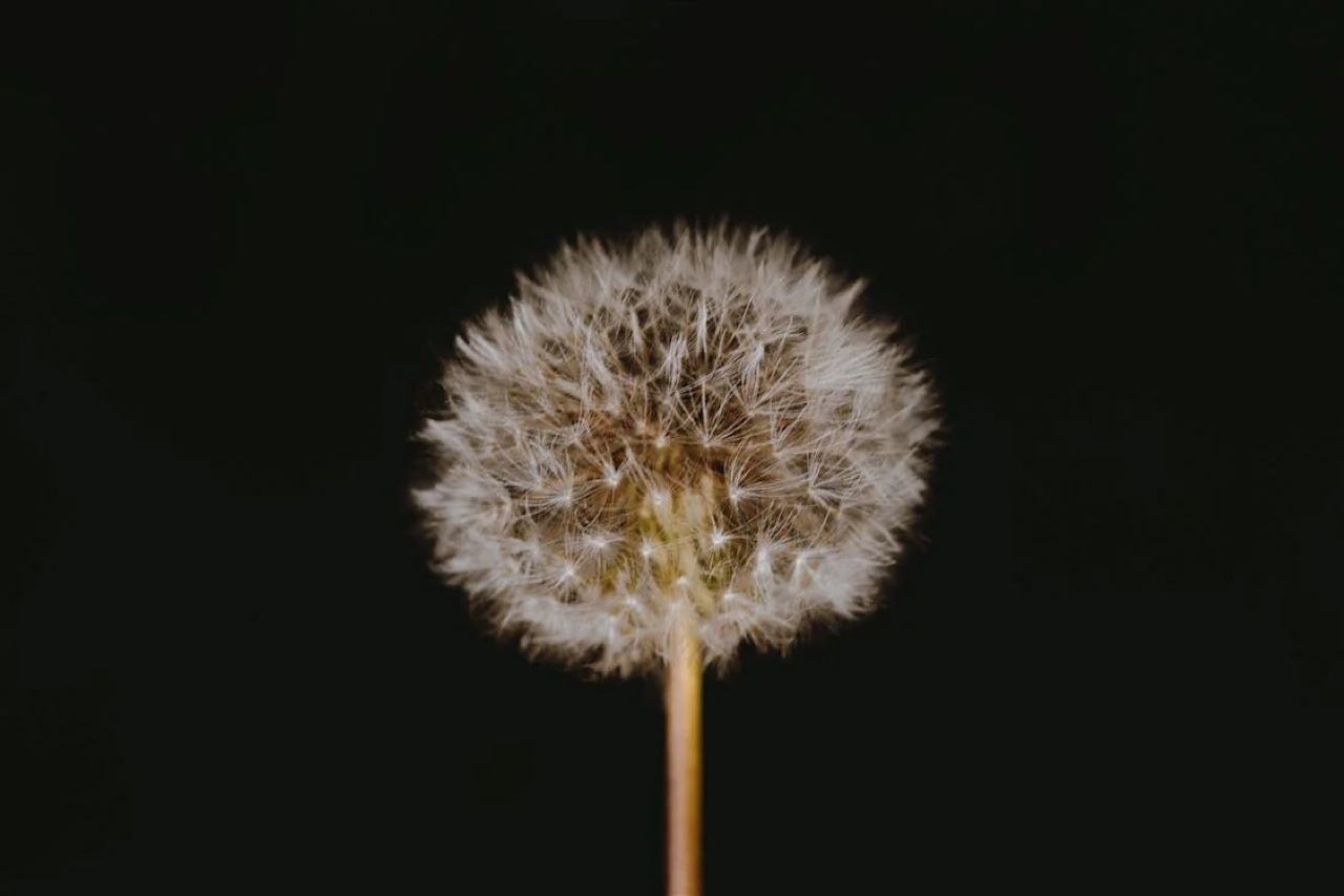 Analisis sampel sperma di makmal