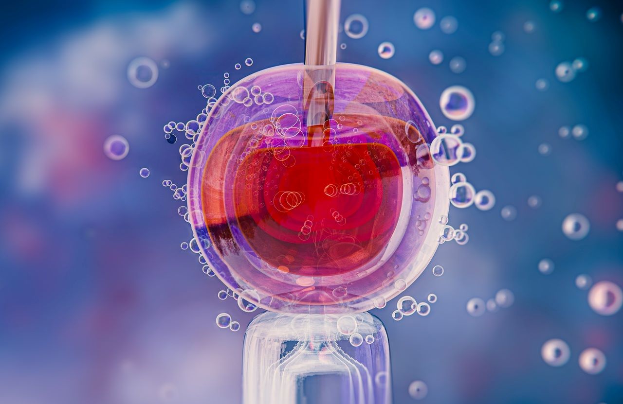 Embriolog obserwujący hodowlę zarodków w laboratorium IVF pod mikroskopem