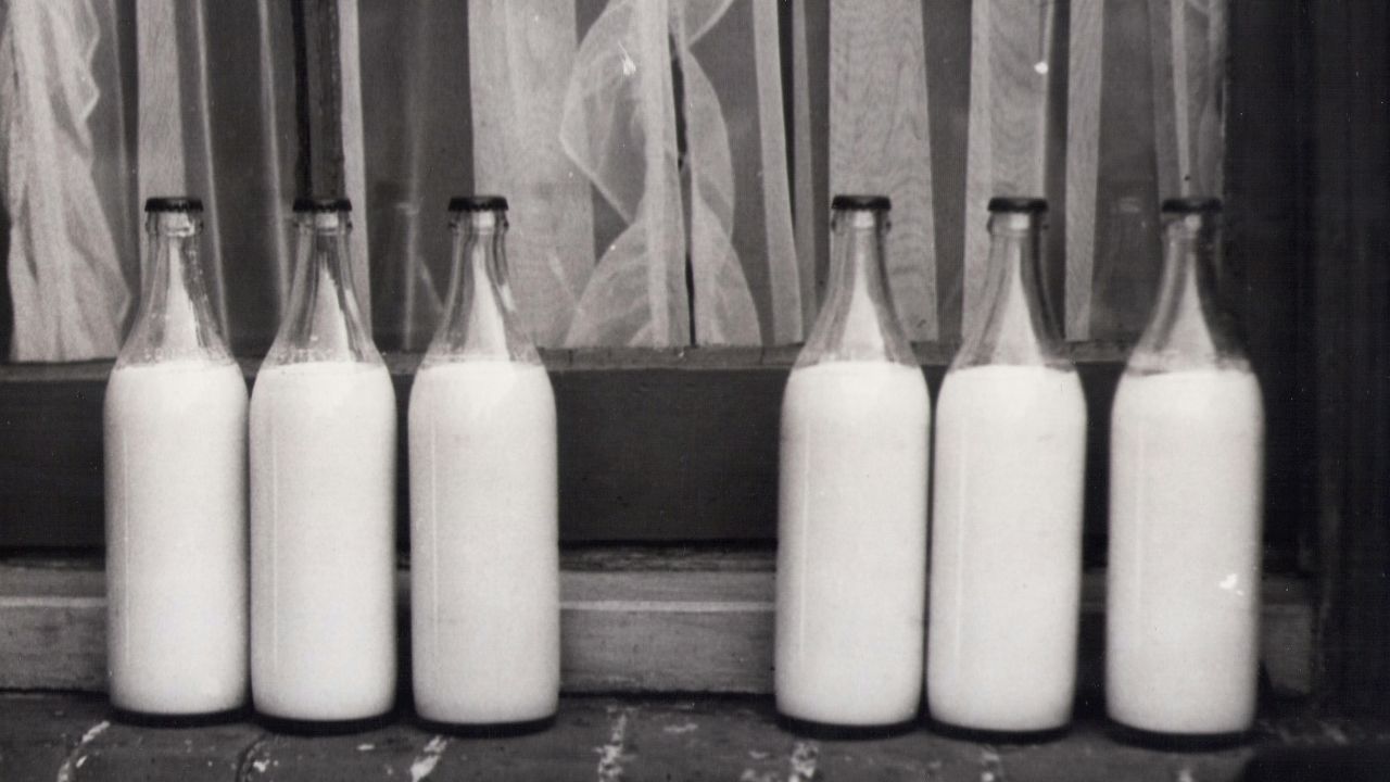 Ảnh ghép các bài báo về những người hiến tinh trùng có số con rất lớn