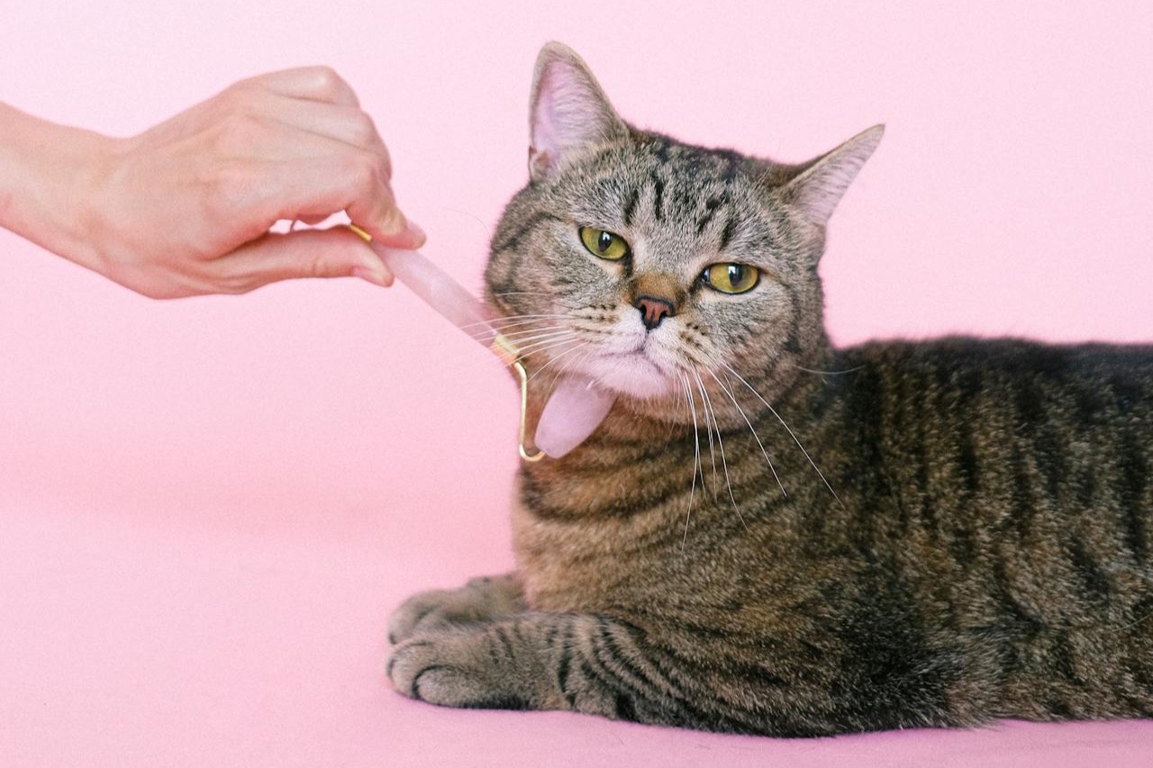 两名年轻人躺在沙发上,衣着间有轻微的抚触